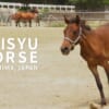対州馬保存会 | Tsushima Taishu Horse Preservation Society